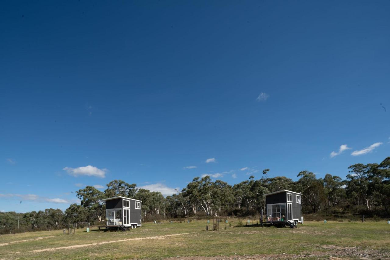 Saddle Camp Tiny House By Tiny Away Villa Braidwood Luaran gambar